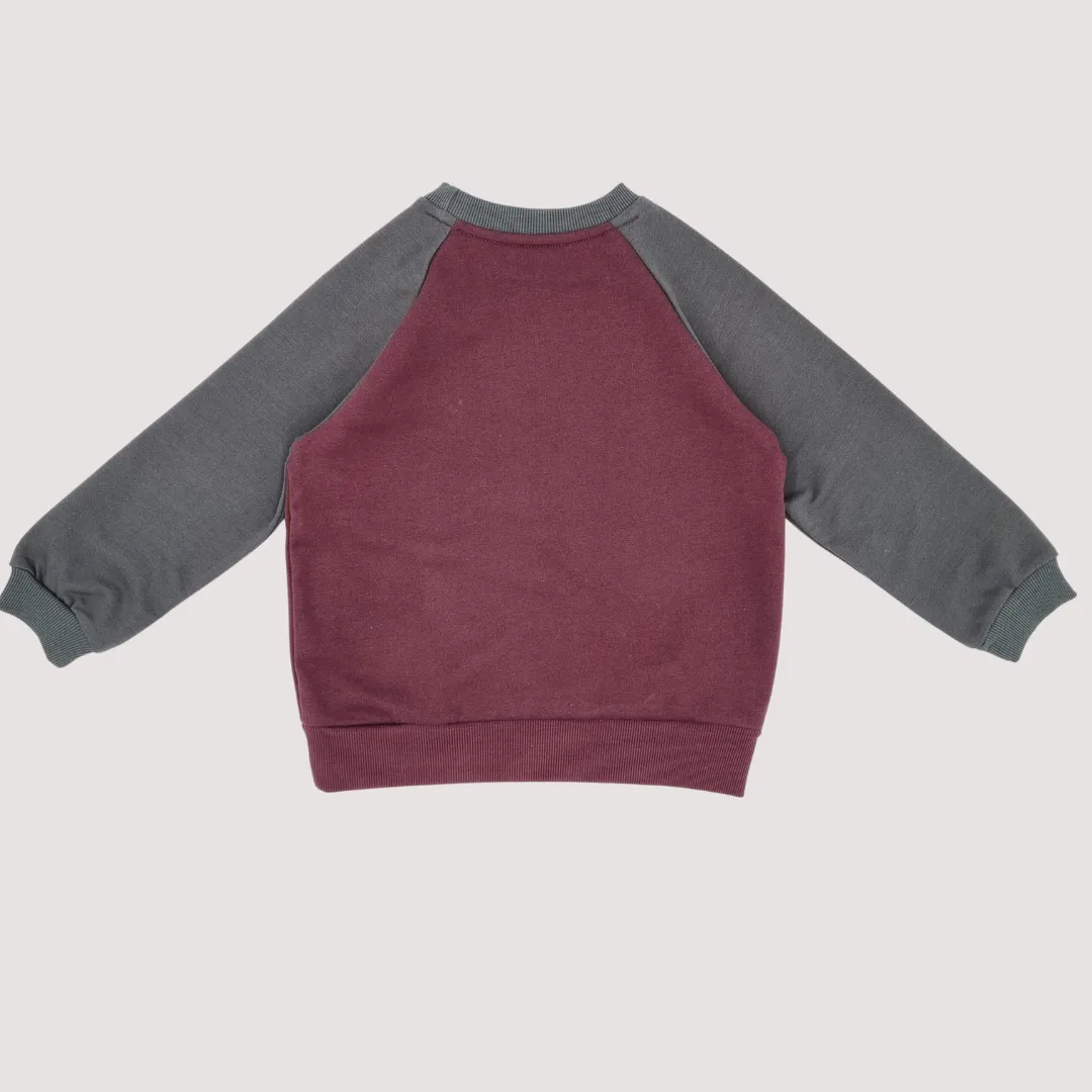 Best Friend  Organic Sweatshirt  Raglan  Claret