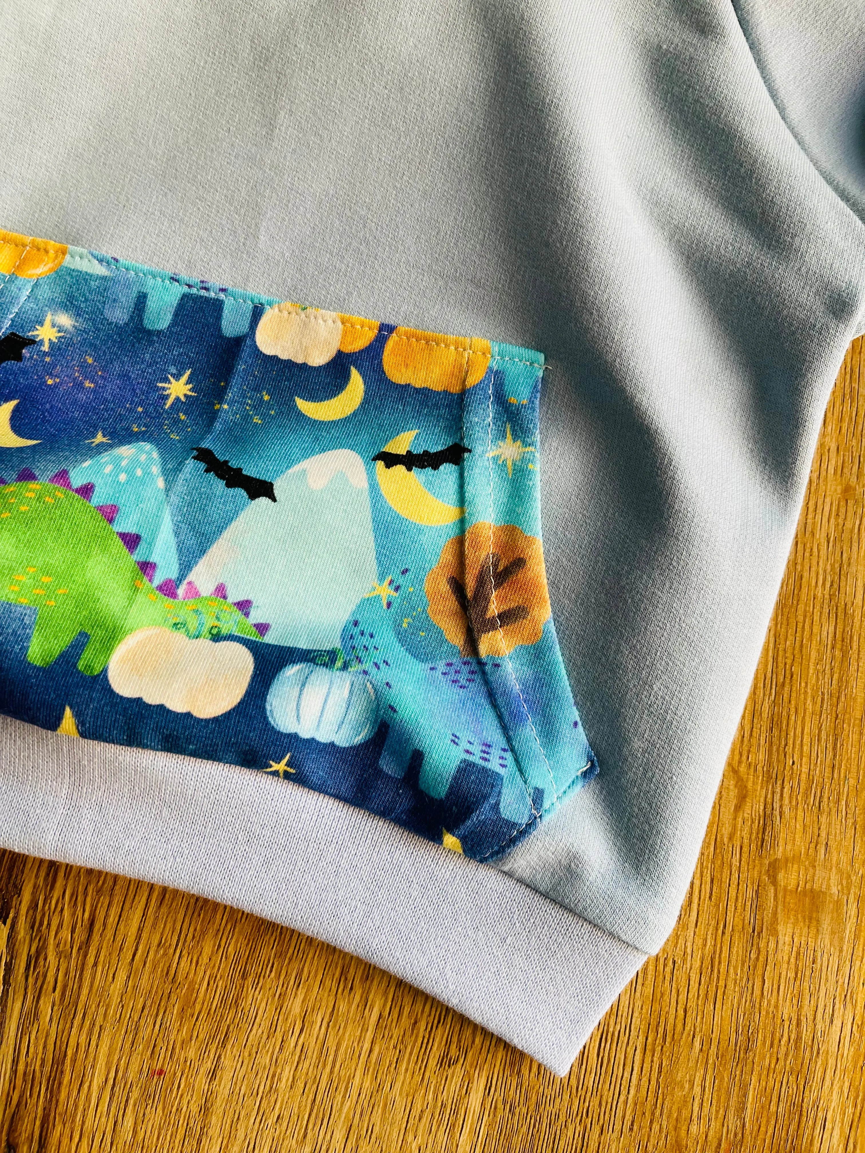 Blue Dinosaurs Hoodie - 3/6 months