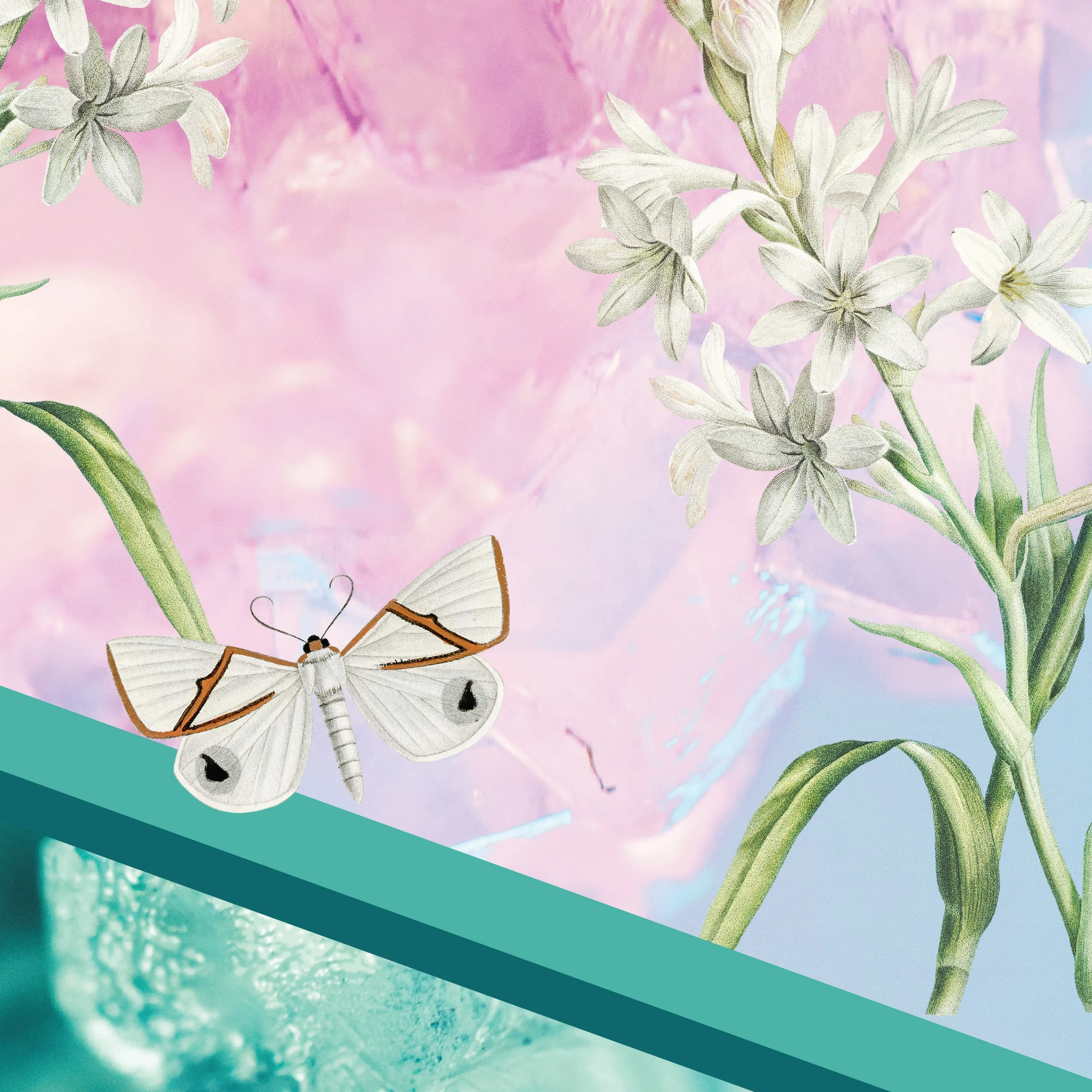 Crystal Fly Capri/Petite
