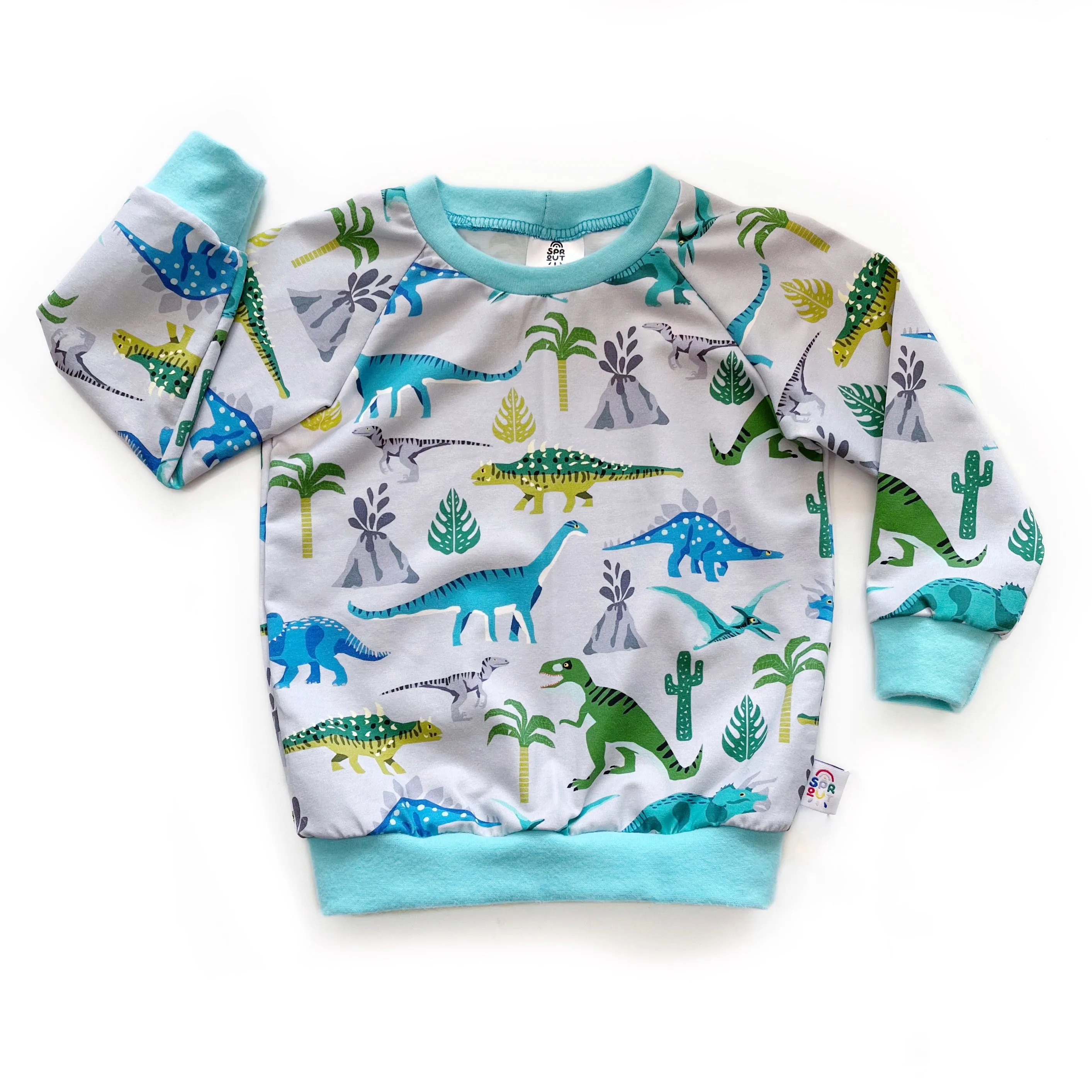 Dinosaur Organic Kids Top