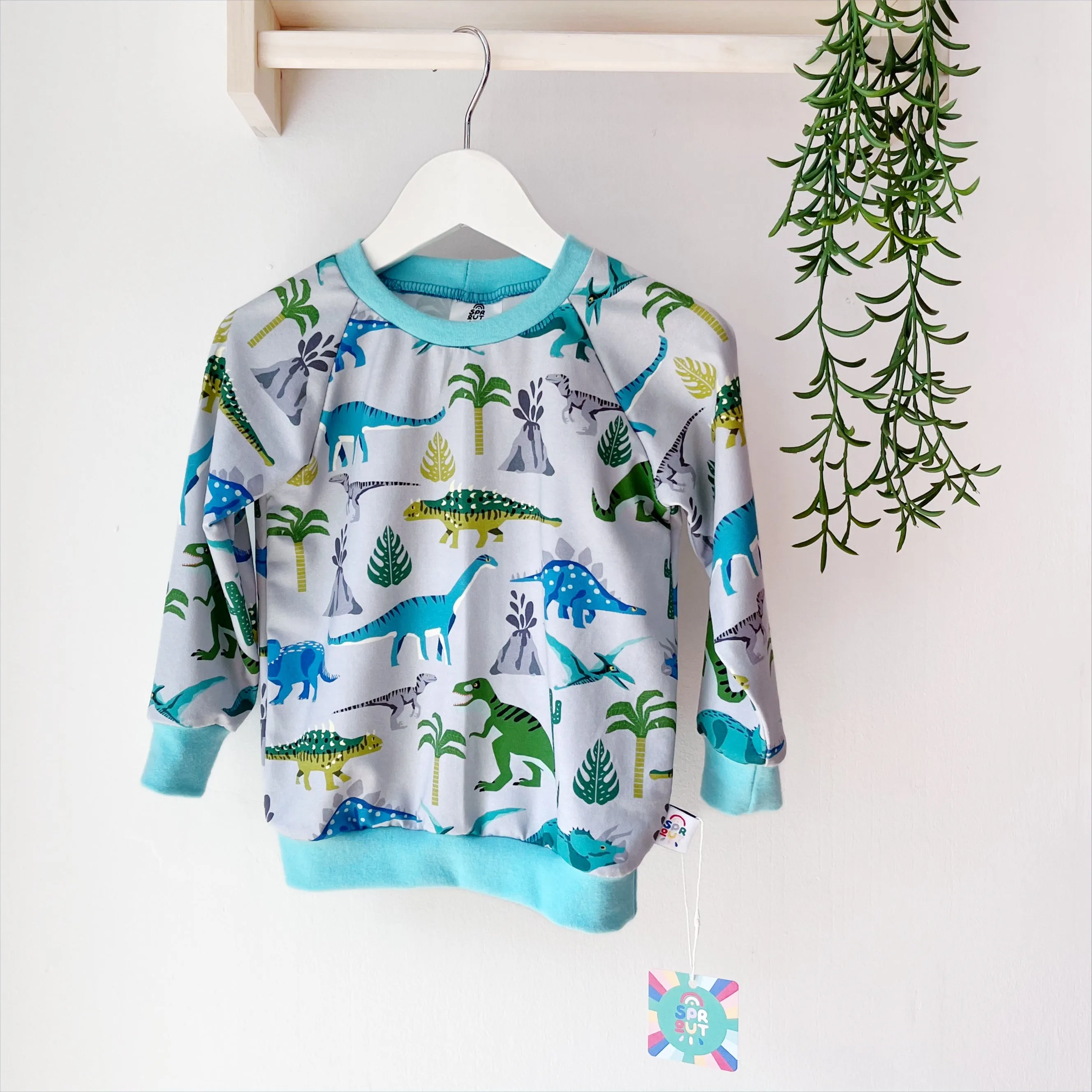 Dinosaur Organic Kids Top