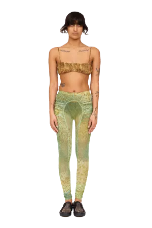 GREEN GECKO PURR LEGGING