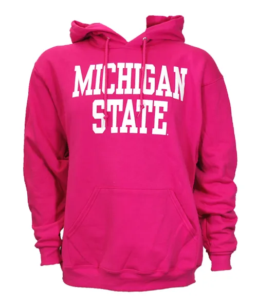 Michigan State University Spartans Block Design Hooded Sweatshirt (Assorted Colors)