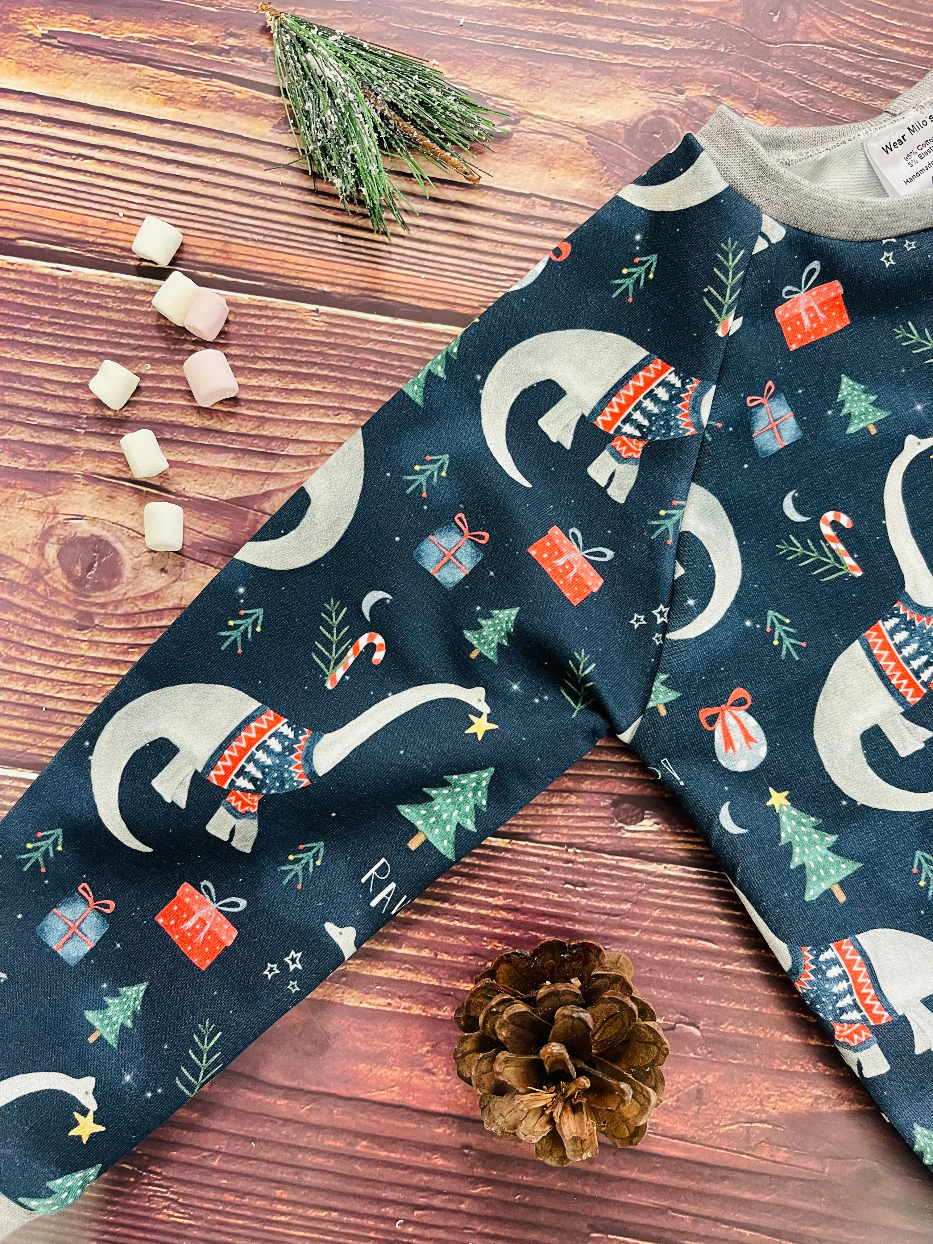 Navy Dinosaurs Papa Sweater