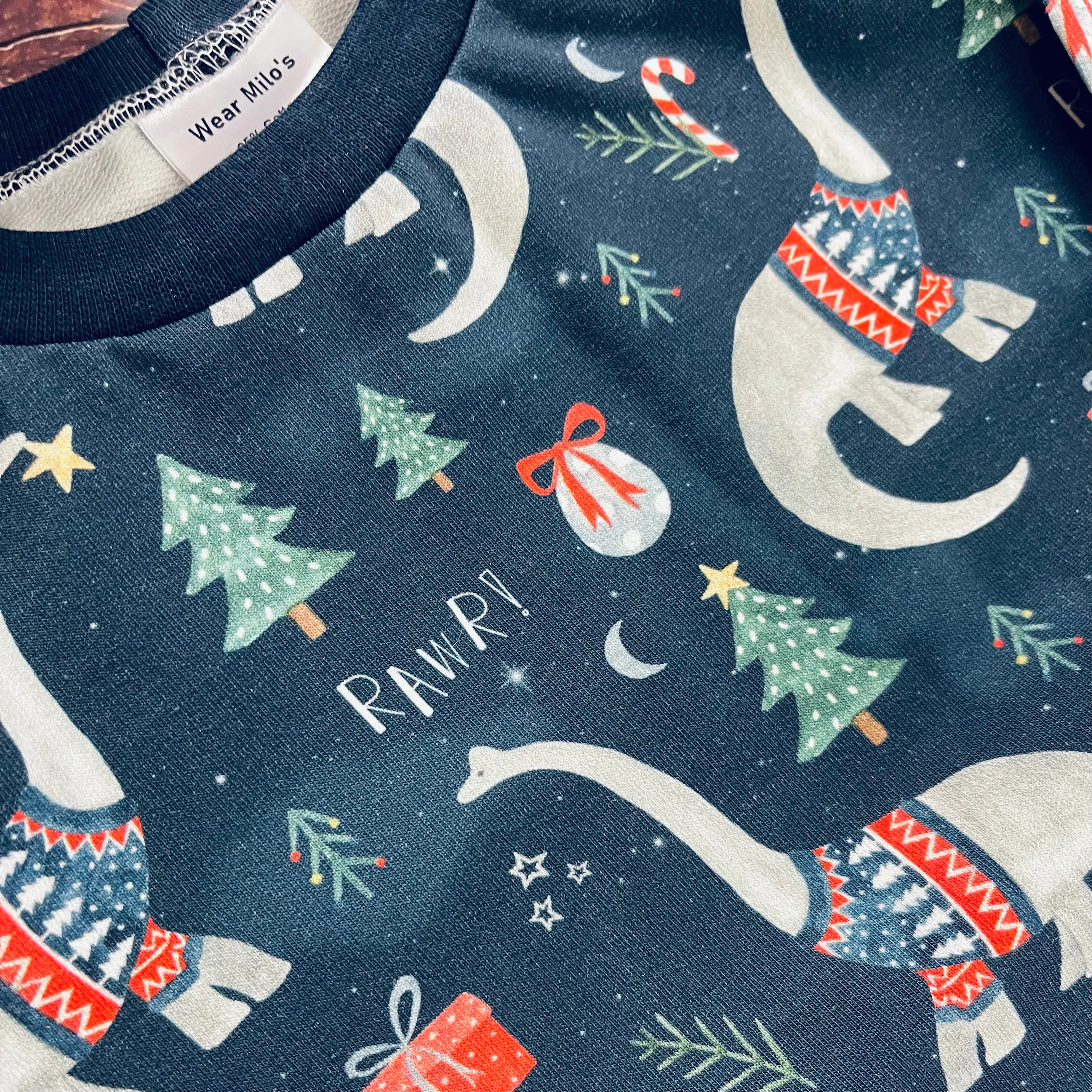 Navy Dinosaurs Papa Sweater