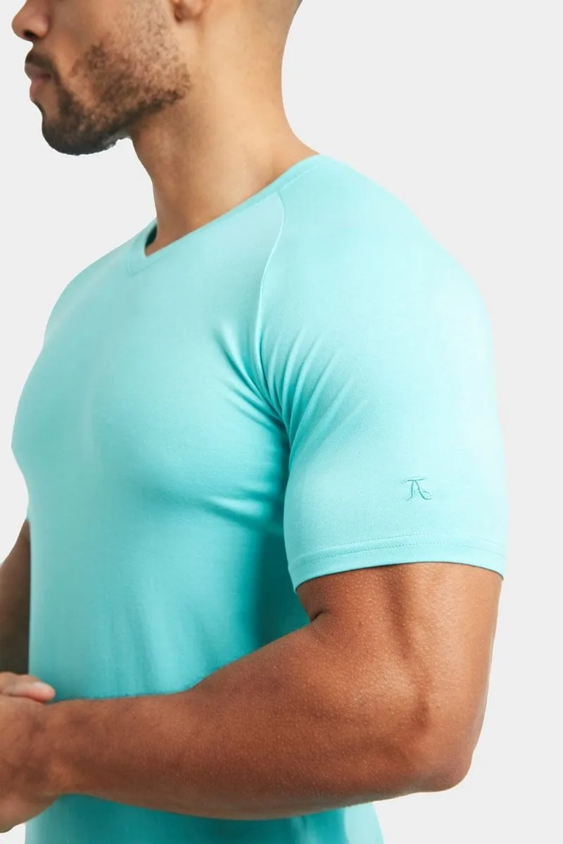 Premium Muscle Fit V-Neck in Spearmint