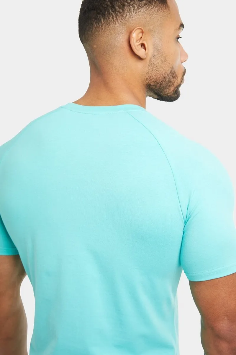 Premium Muscle Fit V-Neck in Spearmint