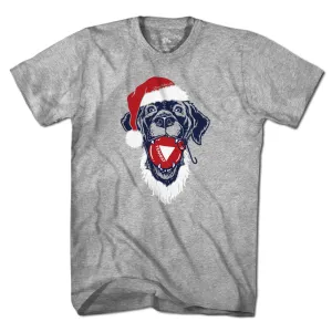Santa Paws Fenway Dog T-Shirt
