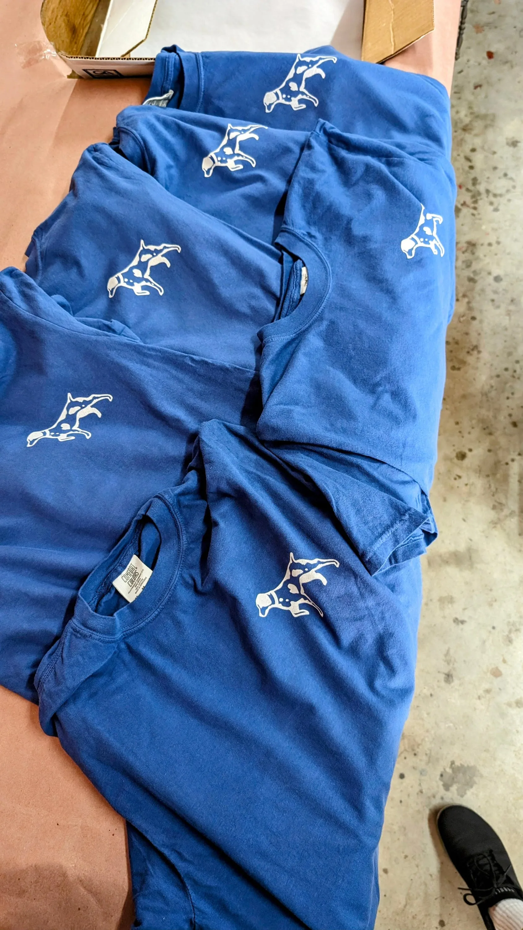 Shop Shirt | Home Base | Ballad of the Bird Dog