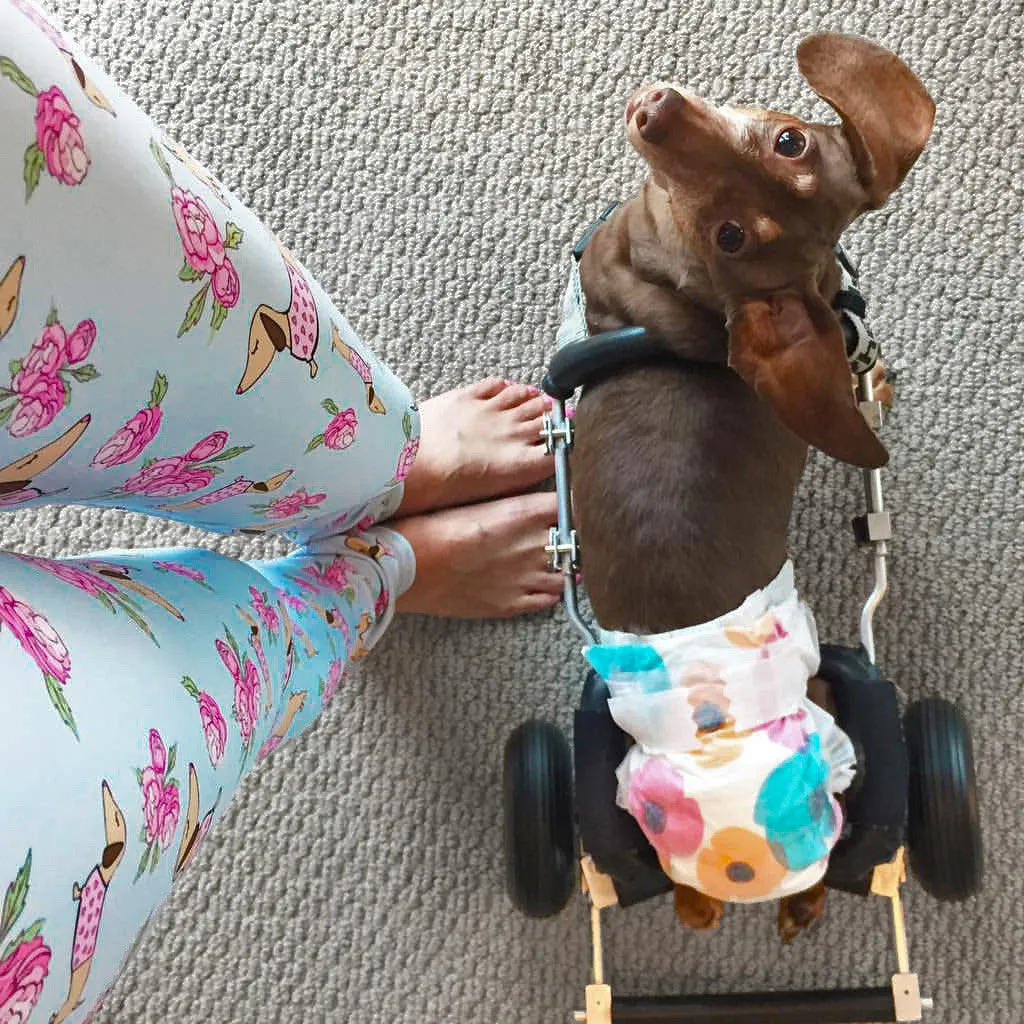 Wiener Dog Floral Leggings