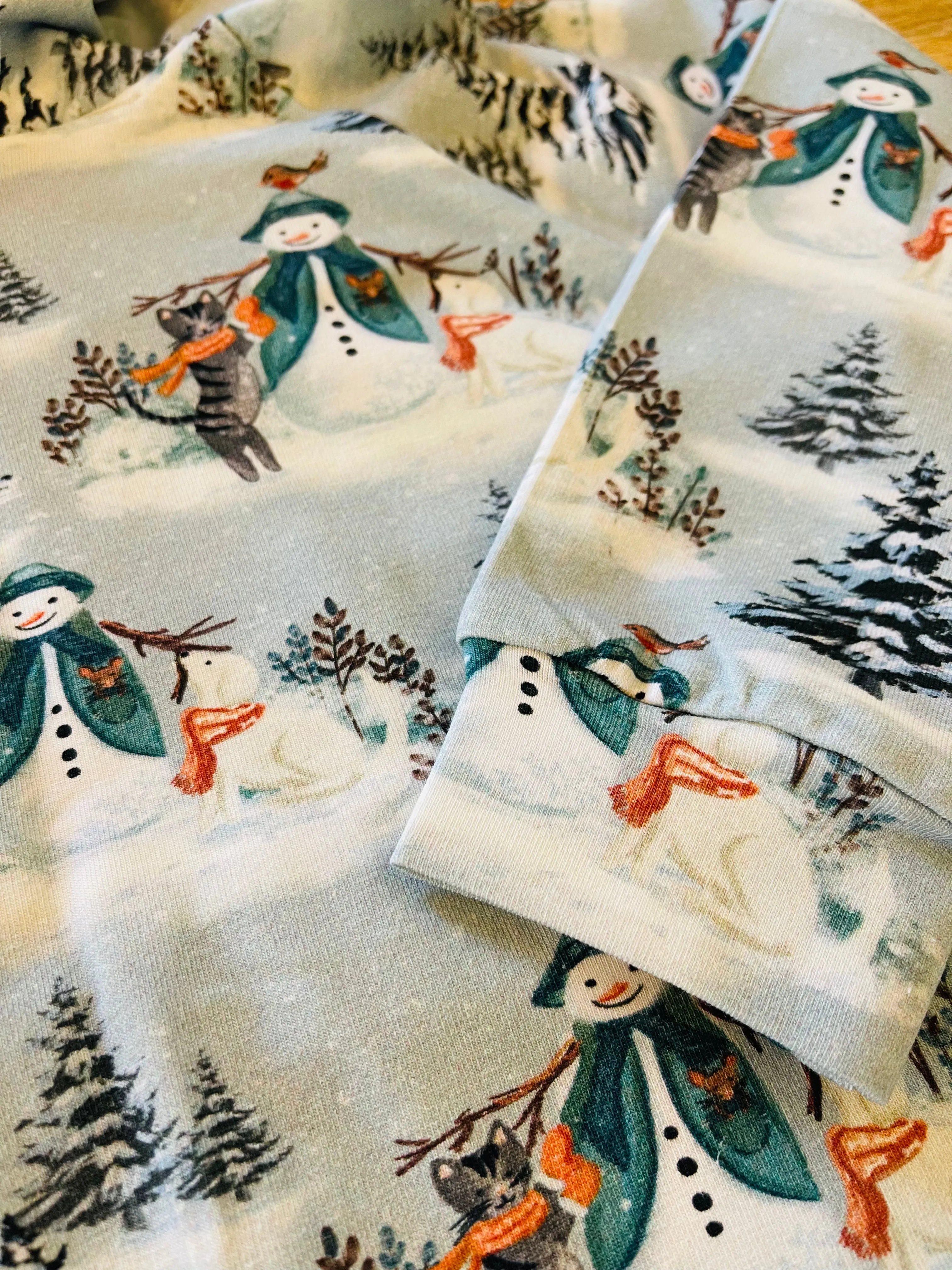 Winter Scene Hoodie